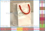 In túi giấy có quai