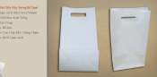 Túi giấy trơn không in