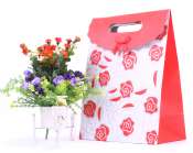 Mẫu in túi giấy đẹp 2019