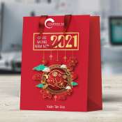 Túi giấy đựng quà tết 2021