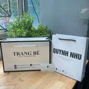 Túi giấy cán mờ