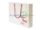 In túi giấy CMYK 35