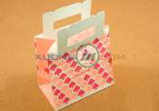 In túi giấy CMYK 36
